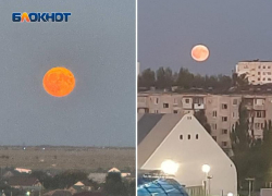 «Осетровая луна» взошла над Волжским в суперлуние: когда явление можно будет увидеть снова