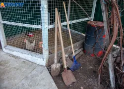 В Волжском найдена яма, в которой убивали животных: прокуратура о нелегальном сооружении