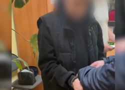 Подозреваемый в отравлении лошадей в Волжском отпущен под подписку о невыезде