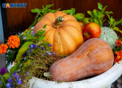 Оранжевая красотка поспела на грядках волжан