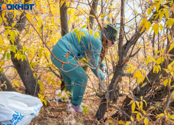 Чем заняться на даче в ноябре: полезная шпаргалка для волжского дачника