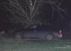 Водитель на "Приоре" врезался в дерево в Среднеахтубинском районе