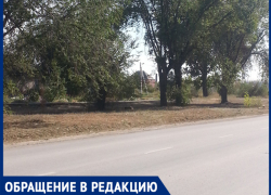 "На острове Зеленый наводят порядок",- волжанка