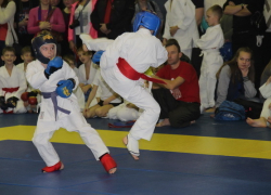 Волжане-рукопашники взяли 13 золотых медалей на соревнованиях имени Цуцунавы