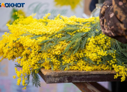 Перед 8 Марта в Волжском усилят рейды против стихийной продажи цветов