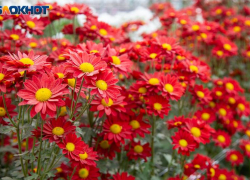 Филимонов день: почему на Руси дату считали временем особой опасности