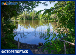 Как Озеро Лотосов под Волжским попало в список лучших водоемов России