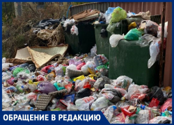 «Антисанитария сплошная, скоро крысы в дом попадут», - волгоградка возмущена состоянием двора