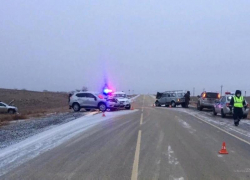 Мгновенная карма: автомобилист под Волгоградом сбил лошадь, а потом сбили его