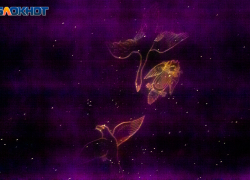 День лучше посвятить простым и привычным делам: гороскоп на 29 марта