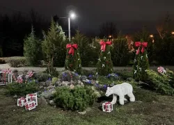 Как Дворец творчества «Русинка» в Волжском превратил обычную территорию в новогоднюю сказку? 