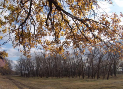 Фотовыставка редких животных и растений открылась в Волжском гуманитарном институте