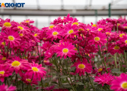 Звезды советуют не вступать в бессмысленные споры: гороскоп на 27 ноября