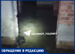 В Волжском озеро с фекалиями выросло внутри многоэтажки: УК оставило его как «достопримечательность»