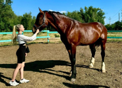 Волжский клуб «GREEN HORSE» знает лекарство от осенней скуки - пони, кони, свежий воздух!
