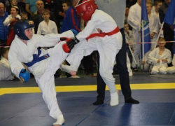 Волжские рукопашники стали лучшими в области