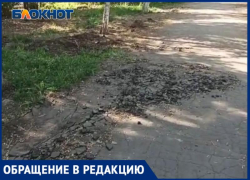 В Волжском сквере рабочие разбомбили дорожки, пока спиливали деревья: видео