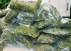 В Волгоградской области в течение года  изъято 440 килограммов наркотиков