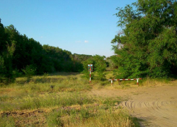 Въезд в леса Волгоградской области закроют из-за жары
