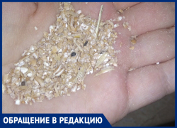 «Крупа в сухпайках оказалась с мусором и жуками», - волжанка