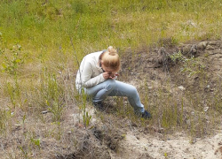 В Волгоградской области обнаружили новую популяцию редкого мха 