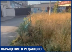 По пояс в траве: волжане не могут добиться покоса возле ТЦ «Идея»