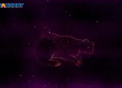 Волжан ждет насыщенный день: гороскоп на воскресенье