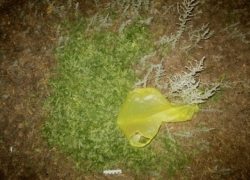 Под Волгоградом задержали многократно судимого мужчину с крупной партией марихуаны