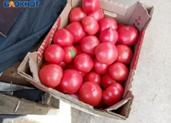 Овощи и фрукты дорожают в Волжском: статистика цен