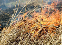 В Среднеахтубинском районе сгорело 120 тонн сена