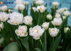 День заряжен движением и общением: гороскоп на 7 марта