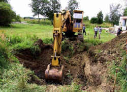 Предприниматель из Ленинского района уничтожил лесной фонд на 13 миллионов