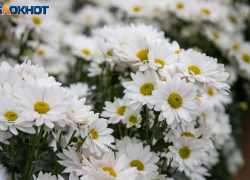 Утренний дождь прогнозируют в Волжском