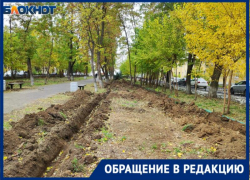Жительница Волжского бьет тревогу из-за снесенных деревьев в сквере