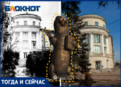 О чем расскажет суслик у краеведческого музея Волжского: как оживает история