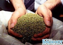 В домовладении жителя Ленинского района оперативники изъяли более 1,5 килограммов марихуаны