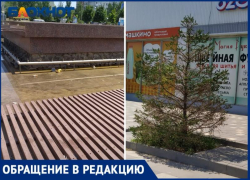Почему не работает фонтан и умирают деревья на площади Танича в Волжском