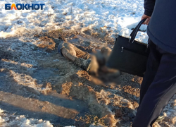 Труп мужчины с оторванной ногой нашли на улице в Волжском 18+
