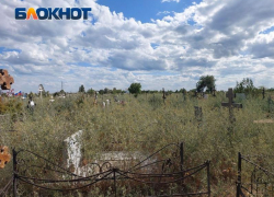 Волжское кладбище заросло бурьяном: кто ответственен за состояние погоста? 