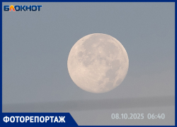 Суперлуние в Волжском: уникальное астрономическое событие попало в объектив фотографа 