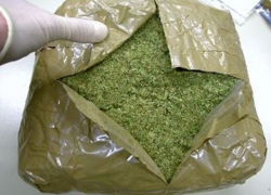 3 килограмма марихуаны изъяли у жителя Михайловки