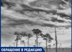 "Как долго нас будут продолжать травить?" - волжанка