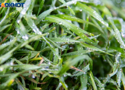 Солнце будет выглядывать из-за туч в четверг: погода