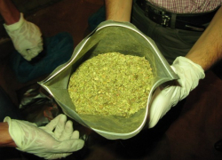 Волжанина осудят за транспортировку свыше килограмма спайса