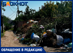 «Скоро крысы появятся»: СНТ Строитель продолжает зарастать мусором