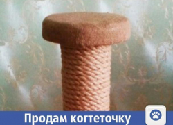 В Волжском для пушистых царапок продают когтеточку