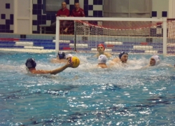В Волгограде стартует чемпионат России по водному поло