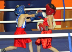 Волжские боксеры привезли домой награды