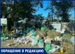 В Волжском образовалась свалка: жители жалуются на вывоз мусора в СНТ «Урожай»