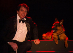 Ну ты пес! Казачий  театр пополнил лающий четырехлапый актёр 